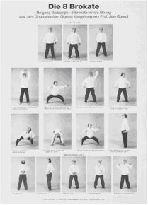 Poster: Die 8 Brokat�bungen