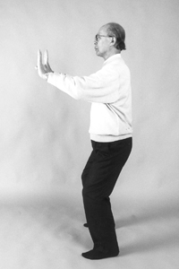 Bild 2: �bungen der 1. Sequenz