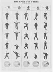 Poster 1: Das Spiel der 5 Tiere