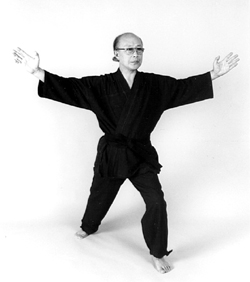 Bild 2: Ausdrucksformen des Taiji-Qigong