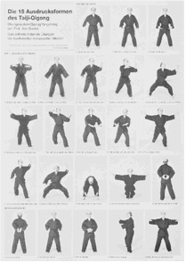 Poster: Die 15 Ausdrucksformen des Taiji-Qigong